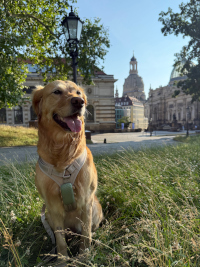 Bailey im Juni 2o25 mit 6 Jahren