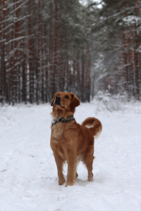 «Skadi» im Dezember 2o25 mit 2 Jahre