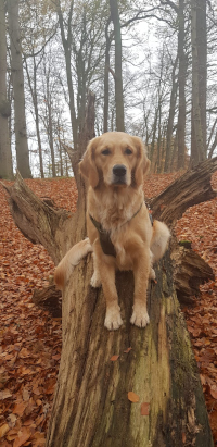 «Alva» im November 2o25 mit 1 Jahr und 4 Monate