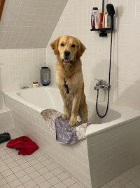 Ian im Dezember 2o25 mit 1 Jahr und 4 Monate