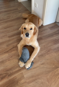 Ian im Dezember 2o25 mit 1 Jahr und 4 Monate