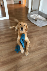 Ian im Januar 2o26 mit 1 Jahr und 5 Monate