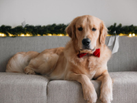 Ivain im Dezember 2o25 mit 1 Jahr und 4 Monate