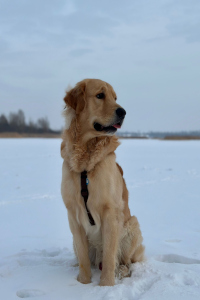 Ivain im Februar 2o26 mit 1 ½ Jahr