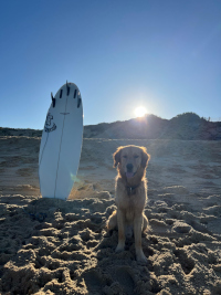 «Pluto» im November 2o25 mit einem Jahr 3 Monaten