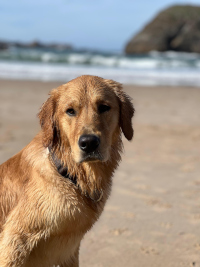 «Pluto» im November 2o25 mit einem Jahr 3 Monaten