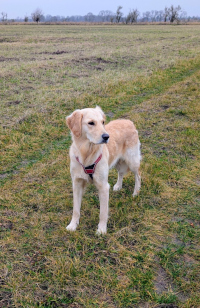 Idelle Mitte Dezember mit 1 Jahr 4 Monate