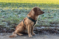 «Polly» im Februar 2o26 mit 1 Jahr und 4 Monate