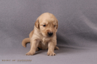 2o. Oktober 2o25 | 22. Tag | 4. Woche