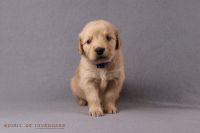 27. Oktober 2o25 | 29. Tag | 5. Woche