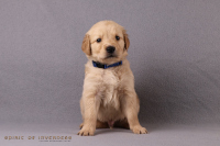 o3. November 2o25 | 36. Tag | 6. Woche