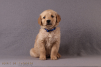 1o. November 2o25 | 42. Tag | 7. Woche