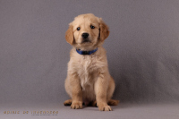 17. November 2o25 | 49. Tag | 8. Woche