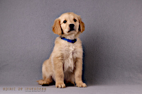 24. November 2o25 | 56. Tag | 9. Woche