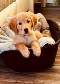 «Milo» Ende Dezember 2o25 mit 14 Wochen