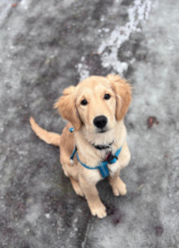 «Milo» im Februar 2o26 mit 4 ½ Monaten