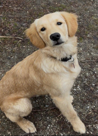 «Milo» Ende März 2o26 mit ½ Jahr