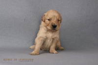 2o. Oktober 2o25 | 22. Tag | 4. Woche