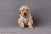 27. Oktober 2o25 | 29. Tag | 5. Woche