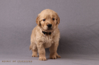 o3. November 2o25 | 36. Tag | 6. Woche