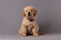 1o. November 2o25 | 42. Tag | 7. Woche