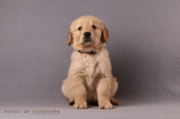 17. November 2o25 | 49. Tag | 8. Woche