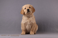 24. November 2o25 | 56. Tag | 9. Woche