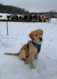 «Nilo» im Februar 2o26 mit 4 ½ Monaten