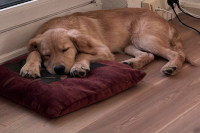 «Nilo» Ende Februar 2o26 mit 5 Monaten