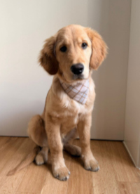 «Nilo» Ende Februar 2o26 mit 5 Monaten