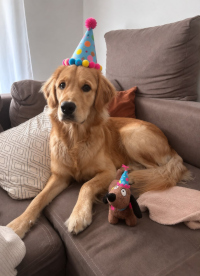 «Nilo» Ende September 2o26 zu seinem ersten Geburtstag