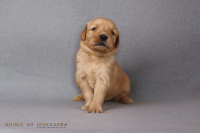 2o. Oktober 2o25 | 22. Tag | 4. Woche