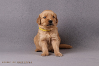 27. Oktober 2o25 | 29. Tag | 5. Woche