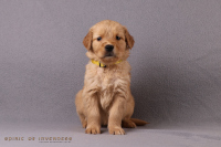 o3. November 2o25 | 36. Tag | 6. Woche