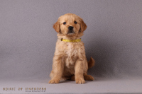 1o. November 2o25 | 42. Tag | 7. Woche