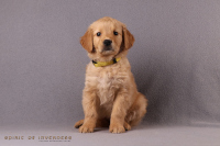 17. November 2o25 | 49. Tag | 8. Woche