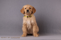 24. November 2o25 | 56. Tag | 9. Woche