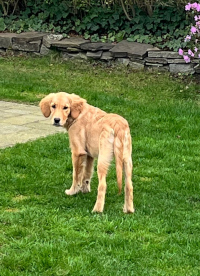 «Mathilda» im März 2o26 mit 5 ½ Monaten