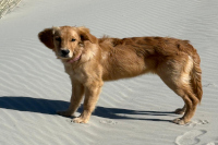 «Mathilda» im April 2o26 mit ½ Jahr