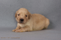 2o. Oktober 2o25 | 22. Tag | 4. Woche