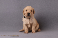 27. Oktober 2o25 | 29. Tag | 5. Woche