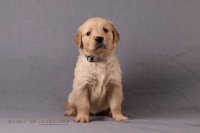 o3. November 2o25 | 36. Tag | 6. Woche