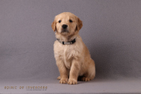 1o. November 2o25 | 42. Tag | 7. Woche