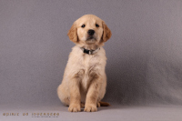 17. November 2o25 | 49. Tag | 8. Woche