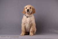 24. November 2o25 | 56. Tag | 9. Woche