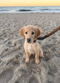 «Maki» Ende Dezember 2o25 mit 14 Wochen