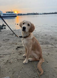 «Maki» Anfang März 2o26 mit 5 Monaten