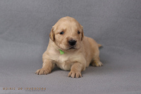 2o. Oktober 2o25 | 22. Tag | 4. Woche