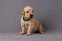 27. Oktober 2o25 | 29. Tag | 5. Woche