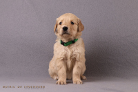 o3. November 2o25 | 36. Tag | 6. Woche